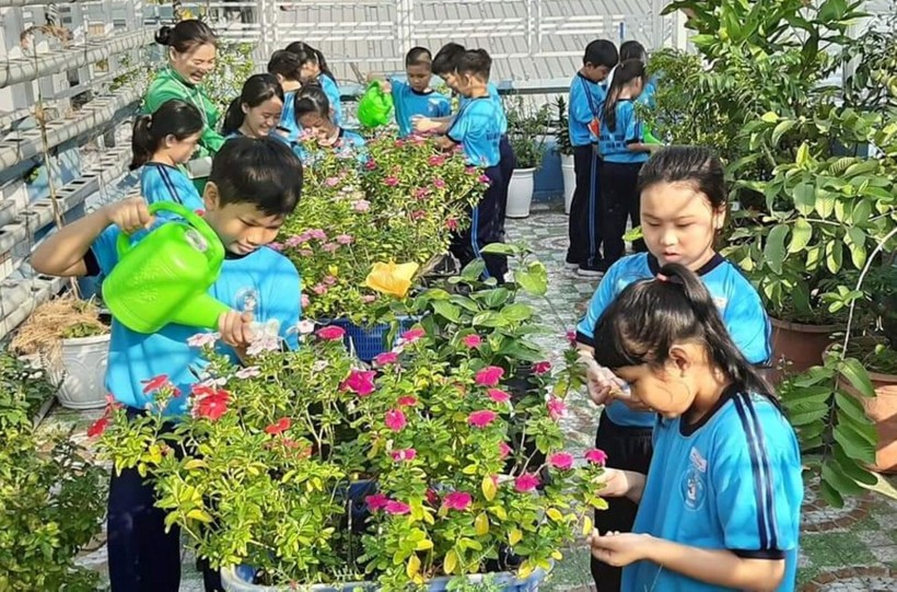 Trường Tiểu học Hoà Bình luôn nỗ lực xây dựng môi trường học tập thân thiện.
