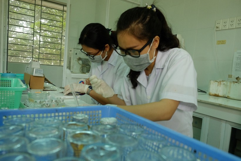 Học viên, nghiên cứu viên trong phòng thí nghiệm của Trường Đại học Sài Gòn. Ảnh: Mạnh Tùng
