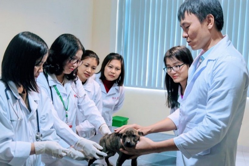 Đại biểu Quốc hội Nguyễn Thị Lan – Giám đốc Học viện Nông nghiệp Việt Nam (thứ hai từ trái qua phải) hướng dẫn sinh viên nghiên cứu về bệnh lý thú y. Ảnh: NTCC