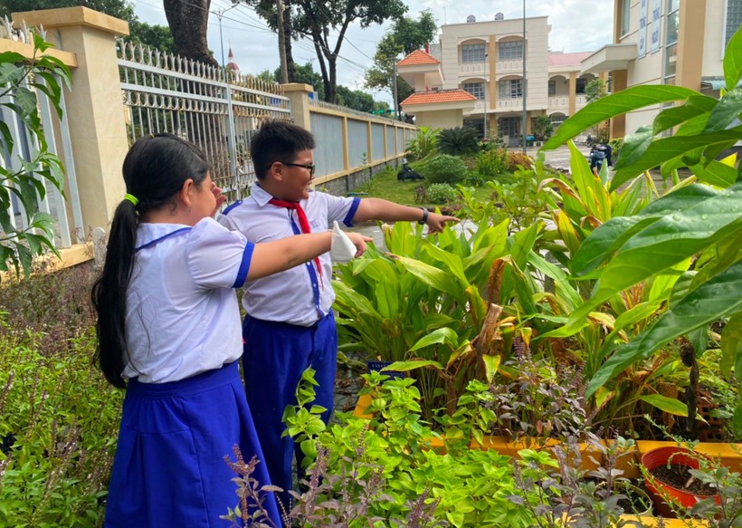 Học sinh cùng nhau chăm sóc vườn thuốc nam.