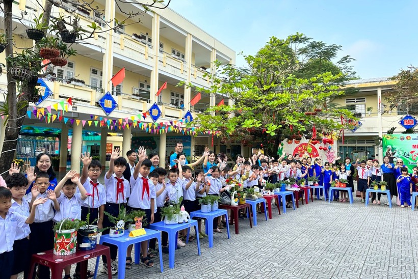 Học sinh Trường Tiểu học Phan Đăng Lưu (quận Hải Châu, TP Đà Nẵng) trồng cây xanh trang trí lớp học bằng vật liệu tái chế. Ảnh: NTCC
