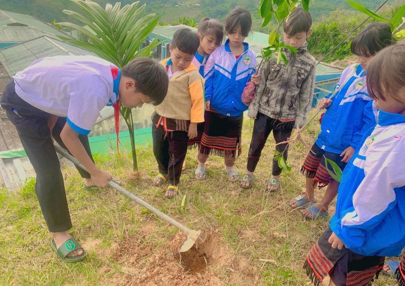 Học sinh Trường Phổ thông Dân tộc bán trú Tiểu học & THCS Trà Nam (Nam Trà My, Quảng Nam) trồng cây dược liệu tại vườn trường. Ảnh: Hà Nguyên