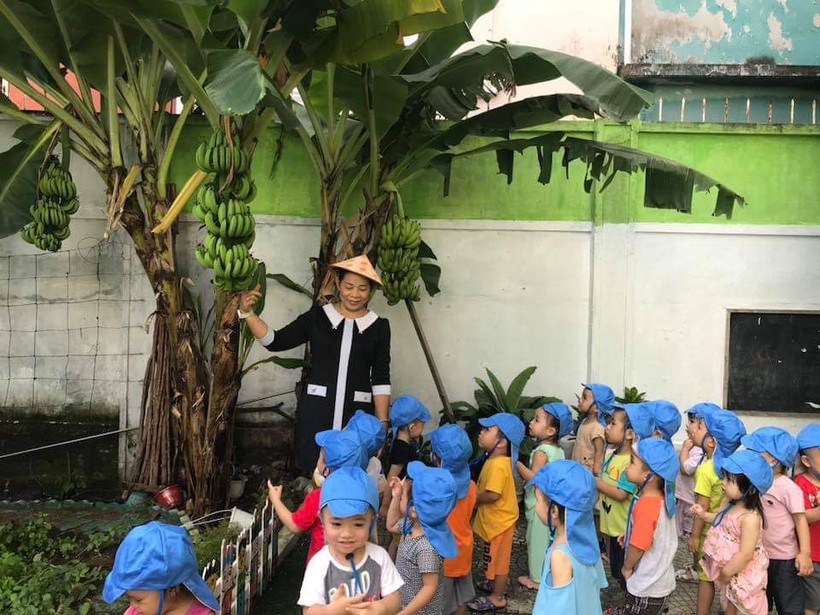 Các bé lớp nhà trẻ trường MN Bình Minh thăm vườn ra của trường. Trường MN Bình Minh hiện nhận giữ trẻ từ 13 tháng tuổi trở lên