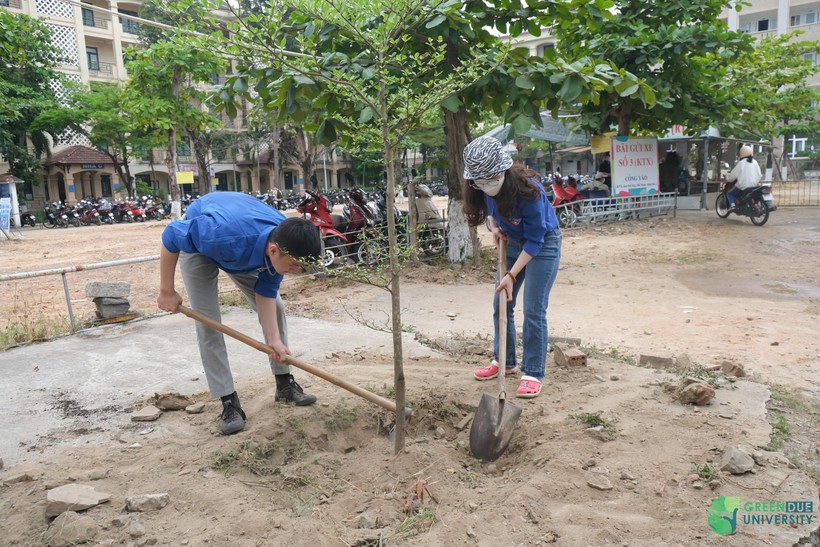Sinh viên Trường ĐH Kinh tế, ĐH Đà Nẵng trồng cây xanh trong khuôn viên nhà trường, hưởng ứng chiến dịch Mỗi ngày một hành động xanh