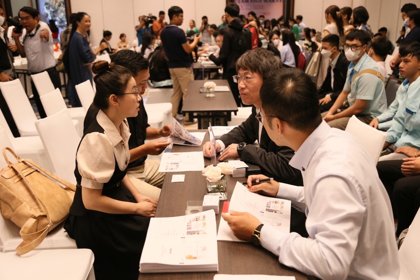 Đại diện các doanh nghiệp tham gia phỏng vấn tuyển dụng ở Ngày hội việc làm tỉnh Wakayama, Nhật Bản tại Đà Nẵng. 