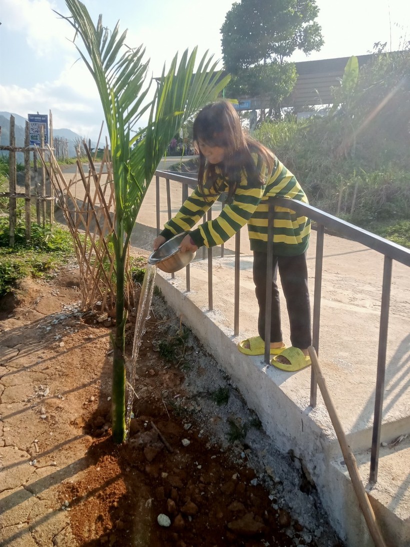 Mỗi học sinh của Trường Phổ thông dân tộc bán trú Tiểu học – THCS Trà Nam sẽ tự tay chăm sóc cây của mình trồng và khai thác cho đến khi tốt nghiệp ra trường.