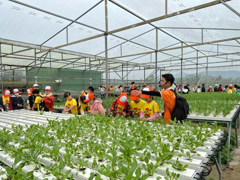Nhiều học sinh khối lớp 3, Trường Tiểu học Võ Thị Sáu lần đầu tiên được thấy mô hình trồng rau thủy canh.