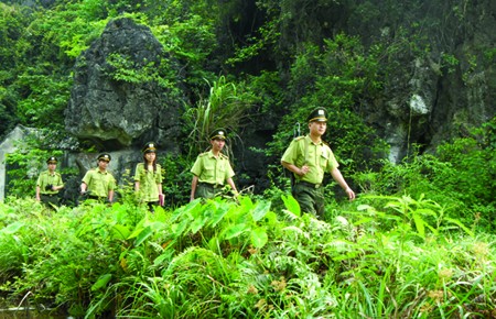 Lực lượng kiểm lâm Ninh Bình tuần tra bảo vệ rừng