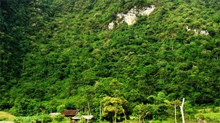 Quản lý rừng bền vững cảnh quan Trung Trường Sơn 