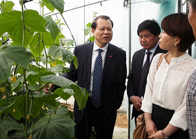 Phó Thủ tướng Vũ Văn Ninh thăm một mô hình nông thôn mới Hàn Quốc.  Ảnh: VGP