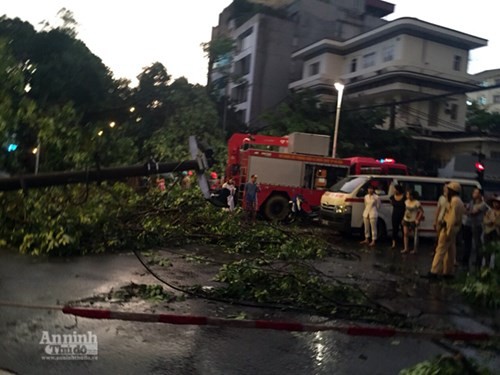 Phó Chủ tịch UBND TP Hà Nội trực tiếp kiểm tra, chỉ đạo khắc phục sự cố đổ cây, tai nạn