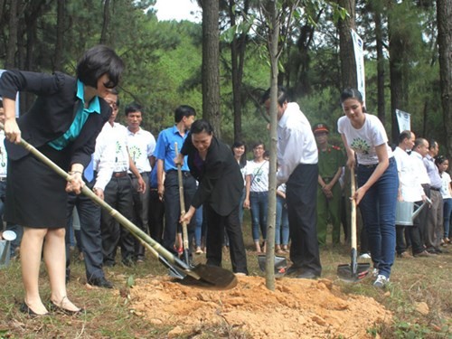 Hà Tĩnh: Trồng hơn 5.600 cây xanh tại Khu di tích Ngã ba Đồng Lộc