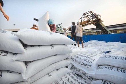 Việt Nam trúng thầu bán 1 triệu tấn gạo