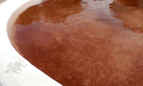 "Mưa máu" nhuộm đỏ hồ nước Tây Ban Nha