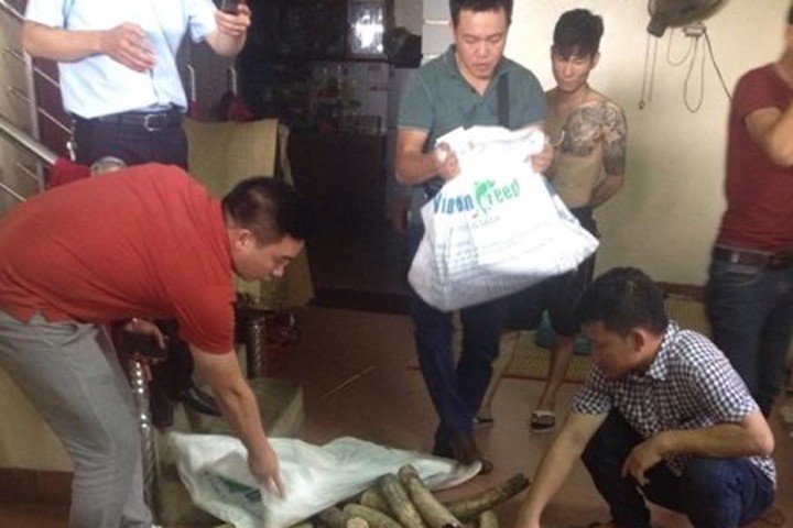 Hà Nội: Phát hiện lô ngà voi nặng hàng trăm kg trong ngôi nhà 3 tầng