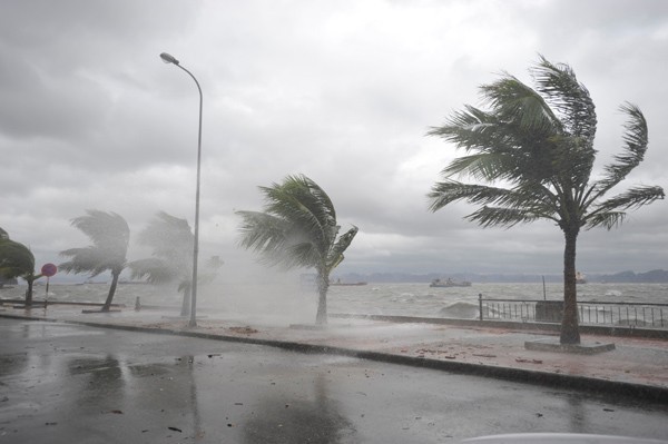 Công điện của Thủ tướng Chính phủ ứng phó với bão số 1