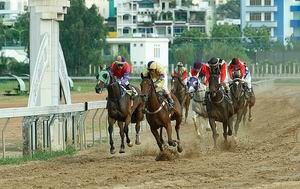 Hoàn thiện quy định về kinh doanh đặt cược đua ngựa, bóng đá quốc tế 