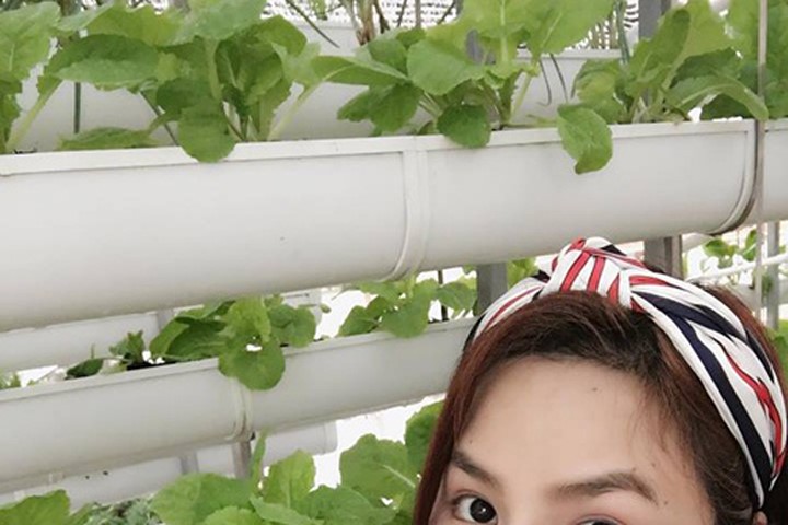 Cựu người mẫu Vũ Thu Phương trồng rau thủy canh trên sân thượng