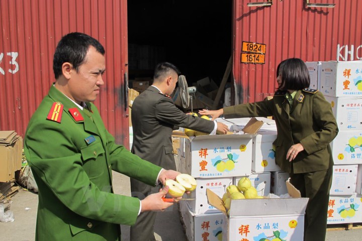 Bắt gần 4 tấn trái cây không rõ nguồn gốc trên đường về Hà Nội