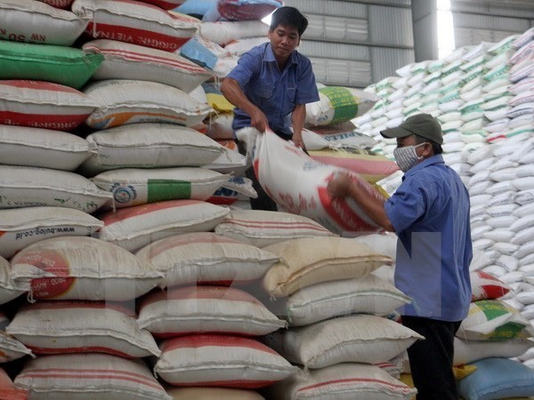 Xuất cấp gạo cho tỉnh Gia Lai, Đắk Lắk