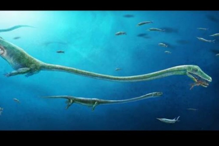 Tìm ra hóa thạch quái vật biển sống trước khủng long
