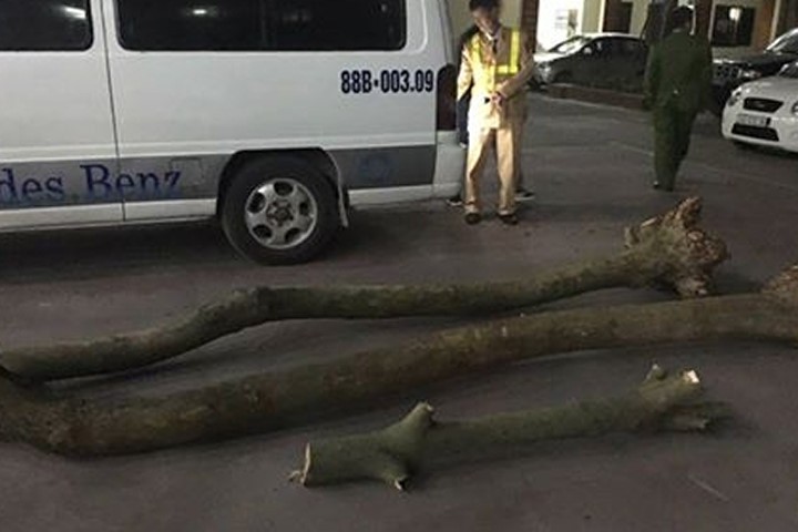 Hà Nội: Tóm gọn các đối tượng đào trộm gỗ sưa giấu trên xe khách