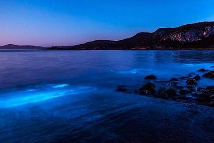 Hiện tượng phát quang sinh học diễn ra gần Công viên Quốc gia Rocky Cape, Tasmania. Ảnh: Leanne Marshall.