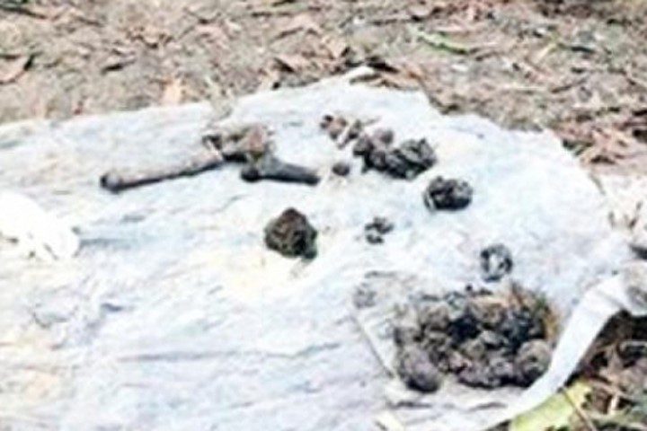 Hố chôn tập thể được phát hiện tại Sân bay Biên Hòa
