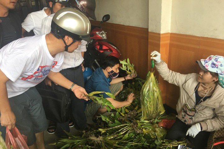 Độc nhất: Chợ phiên lan rừng bán theo cân giữa Đà Nẵng