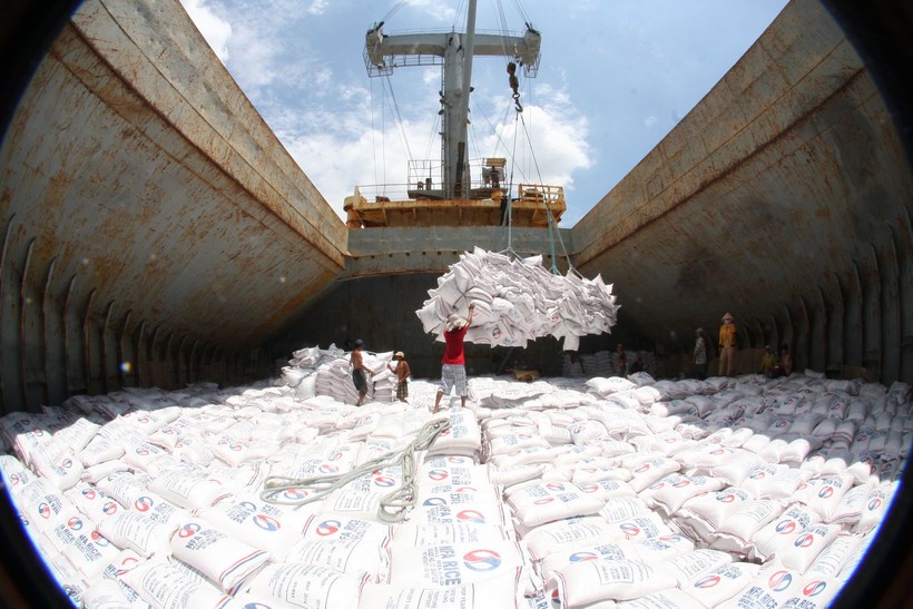 Đẩy mạnh hoạt động xuất khẩu gạo