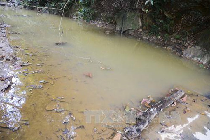 Phú Thọ: Chưa xử lý triệt để vụ xả thải gây ô nhiễm suối Cái