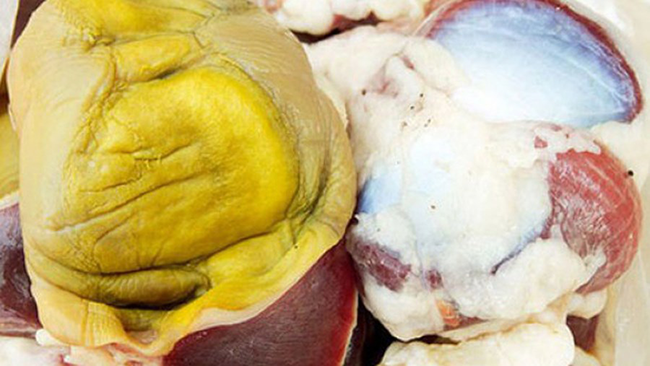 Màng mề gà sấy khô là một vị thuốc phổ biến trong Đông y để chữa bệnh tiêu hóa (Ảnh minh họa)