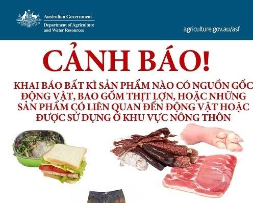 Mang cá chọi, ốc, tôm sống sang Australia - khách Việt bị thu giữ
