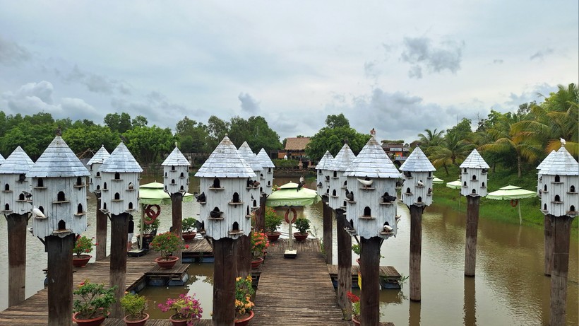 Thành phố Bồ câu - Điểm đến hấp dẫn du khách tại Khu du lịch Rừng tràm Trà Sư (An Giang).