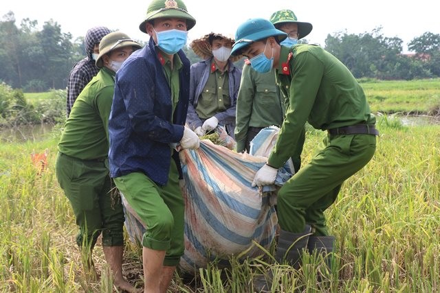 Hình ảnh các chiến sĩ công an giúp người dân thu hoạch lúa đang được lan truyền rộng rãi trên mạng.