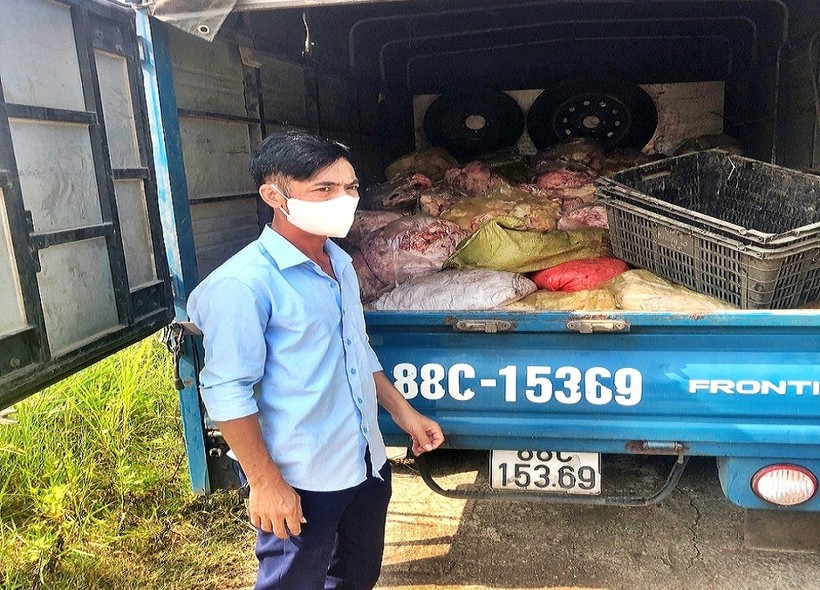 875kg sản phẩm động vật có dấu hiệu phân hủy, bốc mùi hôi thối đang trên đường vận chuyển thì bị phát hiện