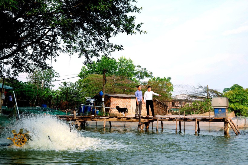 Mô hình nuôi cá mang lại thu nhập cao của hộ anh Nguyễn Văn Sức ở thị trấn Yên Lạc.