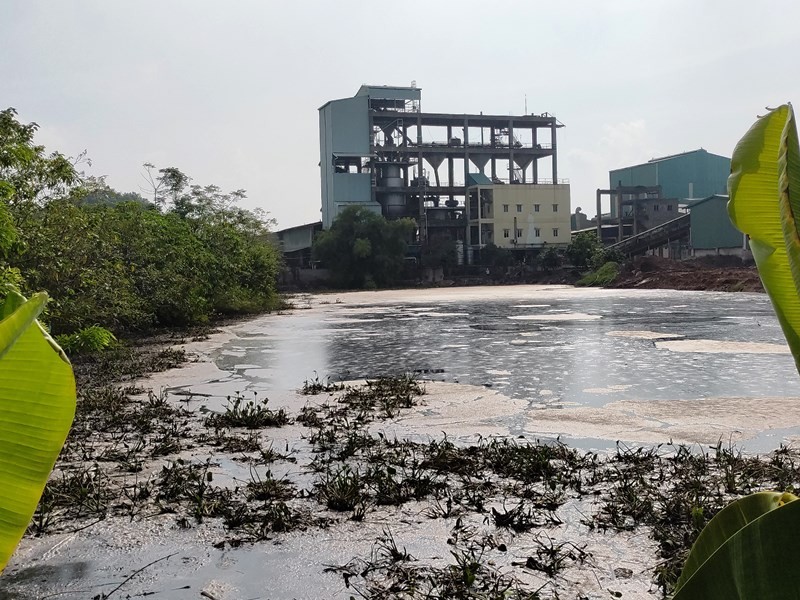 Hồ chứa nước thải của Công ty CP Prime Vĩnh Phúc bốc mùi hôi thối.