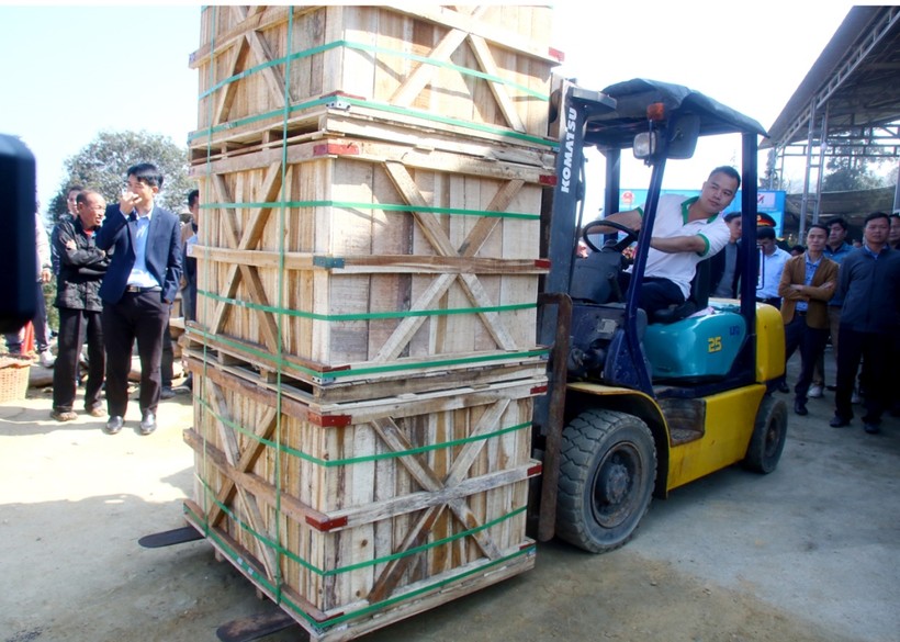 36 tấn củ cải muối của nông dân Hà Giang lên đường sang Nhật Bản.
