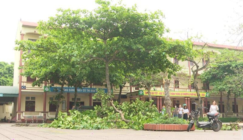 Mưa to kèm theo dông lốc khiến 19 trường học ở Phú Thọ bị hư hỏng.