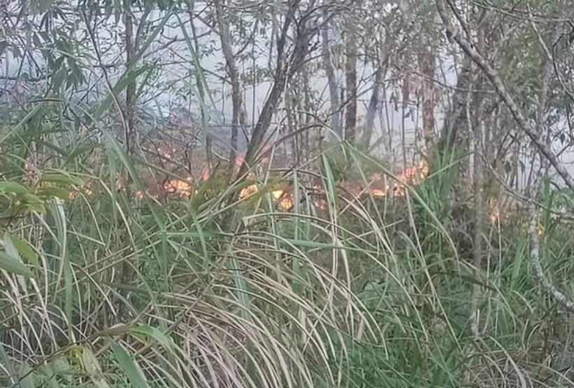 Đám cháy rừng cơ bản đã được khống chế.