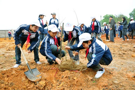 Bắc Giang: Tổ chức Tết trồng cây tránh hình thức, lãnh phí