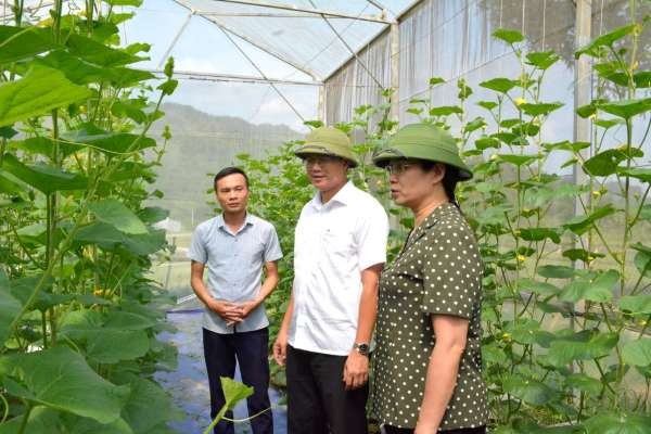 Thứ trưởng Bộ GD&ĐT Lê Hải An, thành viên Ban Chỉ đạo Trung ương các Chương trình mục tiêu quốc gia,  kiểm tra chương trình nông thôn mới tại tỉnh Hà Giang.
