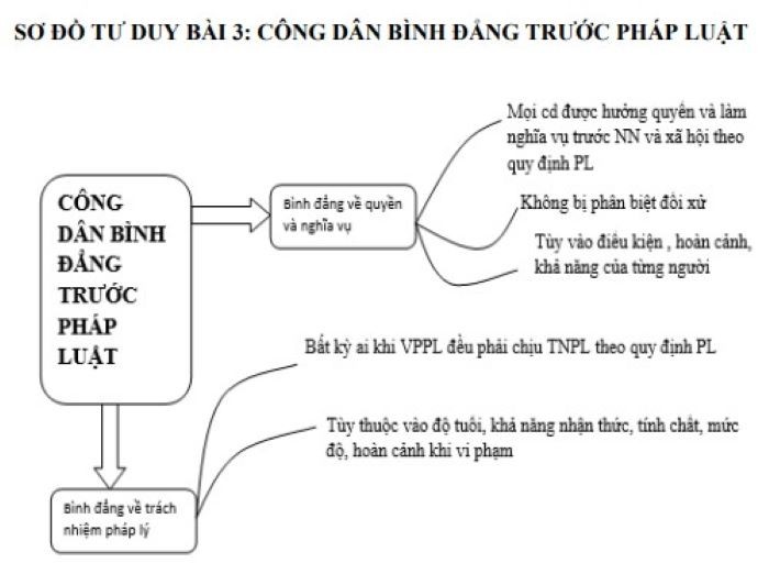 Một ví dụ về sơ đồ tư duy cô Trần Thị Mai chia sẻ trong bài "Công dân bình đẳng trước pháp luật".
