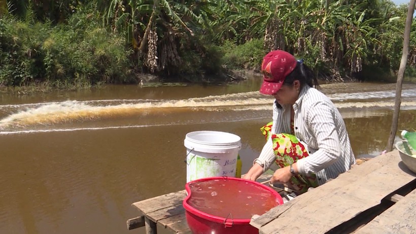 Nhiều vùng nông thôn Cà Mau người dân đang sống trong cảnh khát nước sạch.
