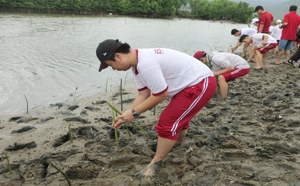 Trường iSchool Nha Trang tiên phong trong chiến dịch iSchool For Community với chương trình trồng rừng ngập mặn. Ảnh: iSchool Nha Trang.