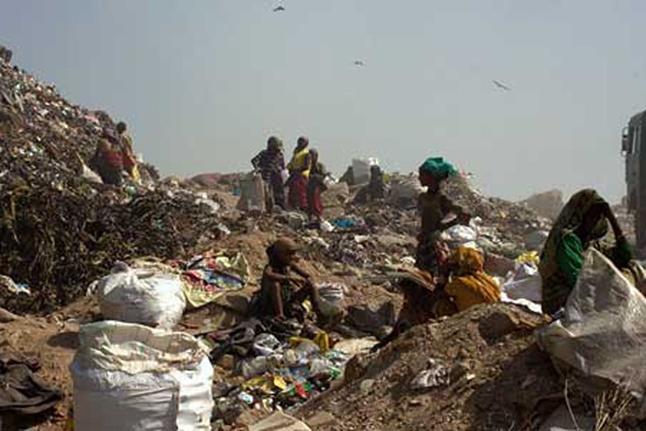 Rủi ro nghề bới rác kiếm kế sinh nhai ở New Delhi
