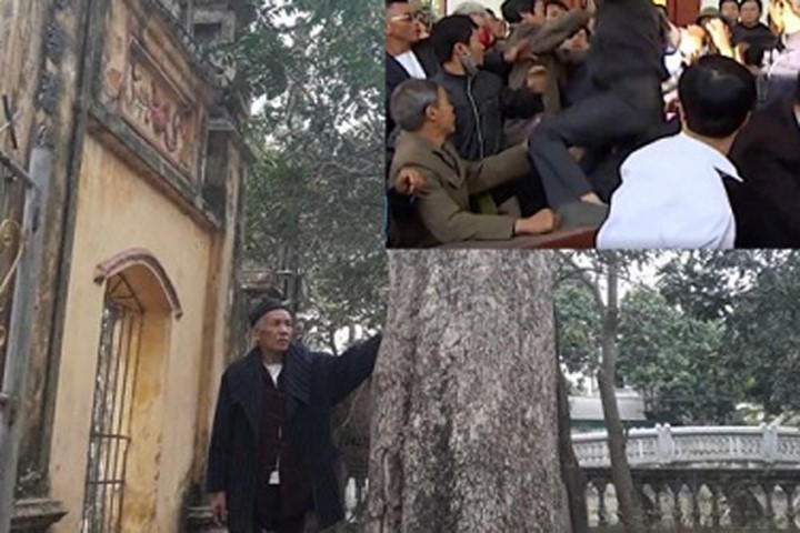 Tỉnh Bắc Ninh "tuýt còi" vụ đấu giá cây sưa 200 tuổi ở đình Đông Cốc