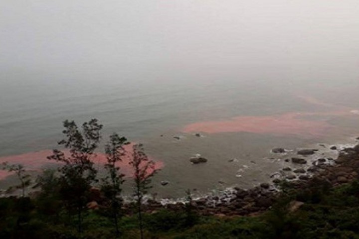 Dải nước màu đỏ xuất hiện gần bờ biển Lăng Cô vào ngày 22/2. Ảnh: N.D.