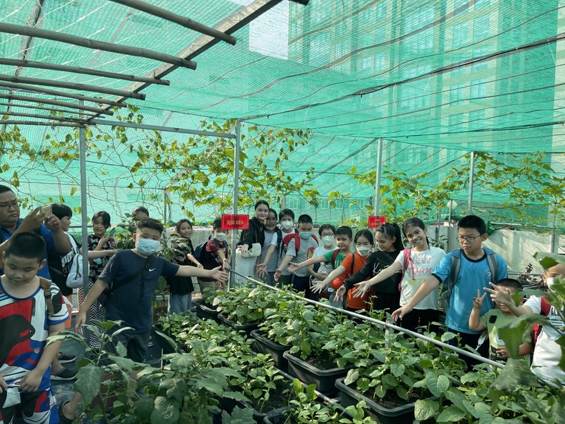 Học sinh Trường Tiểu học Hoà Bình tham quan vườn rau tăng gia sản xuất của cán bộ, chiến sĩ trong Tiểu đoàn kiểm soát Quân sự 31.